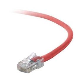 Image de Belkin - A3L791-02-RED