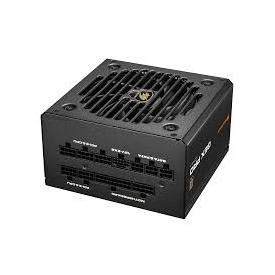 Cougar - 31GP075001P01